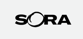 Sora Schools Logo