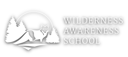 Wilderness Awareness School Logo